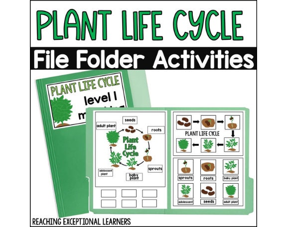 Plant Life Cycle File Folder Activity - Etsy