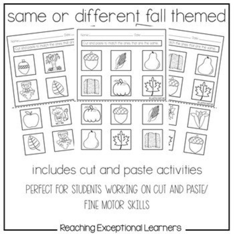Same or Different Fall Worksheets Special Education - Etsy