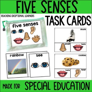 Five Senses Task Cards Special Education