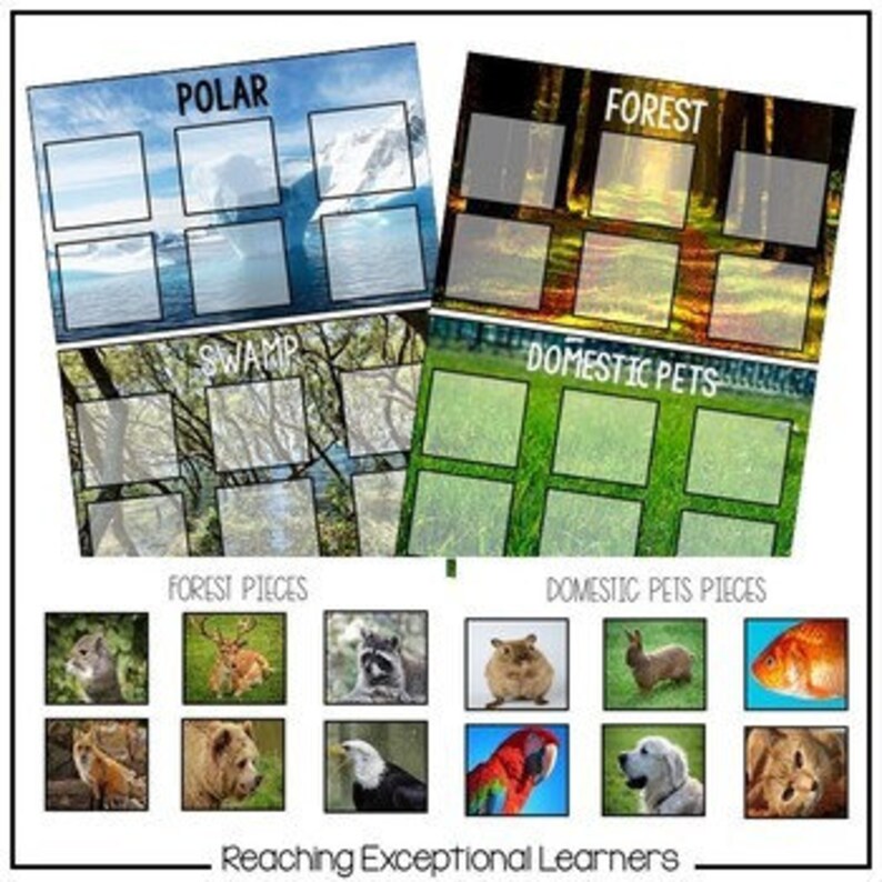 Animal Habitats Sorting Activity Etsy