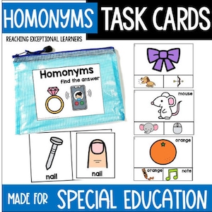 Homonyms Task Cards