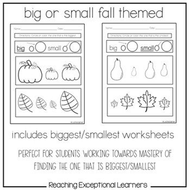 Big or Small Fall Worksheets Special Education - Etsy