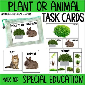 Plant or Animal Task Cards Special Education