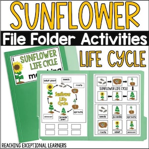 Sunflower Life Cycle File Folder Activity
