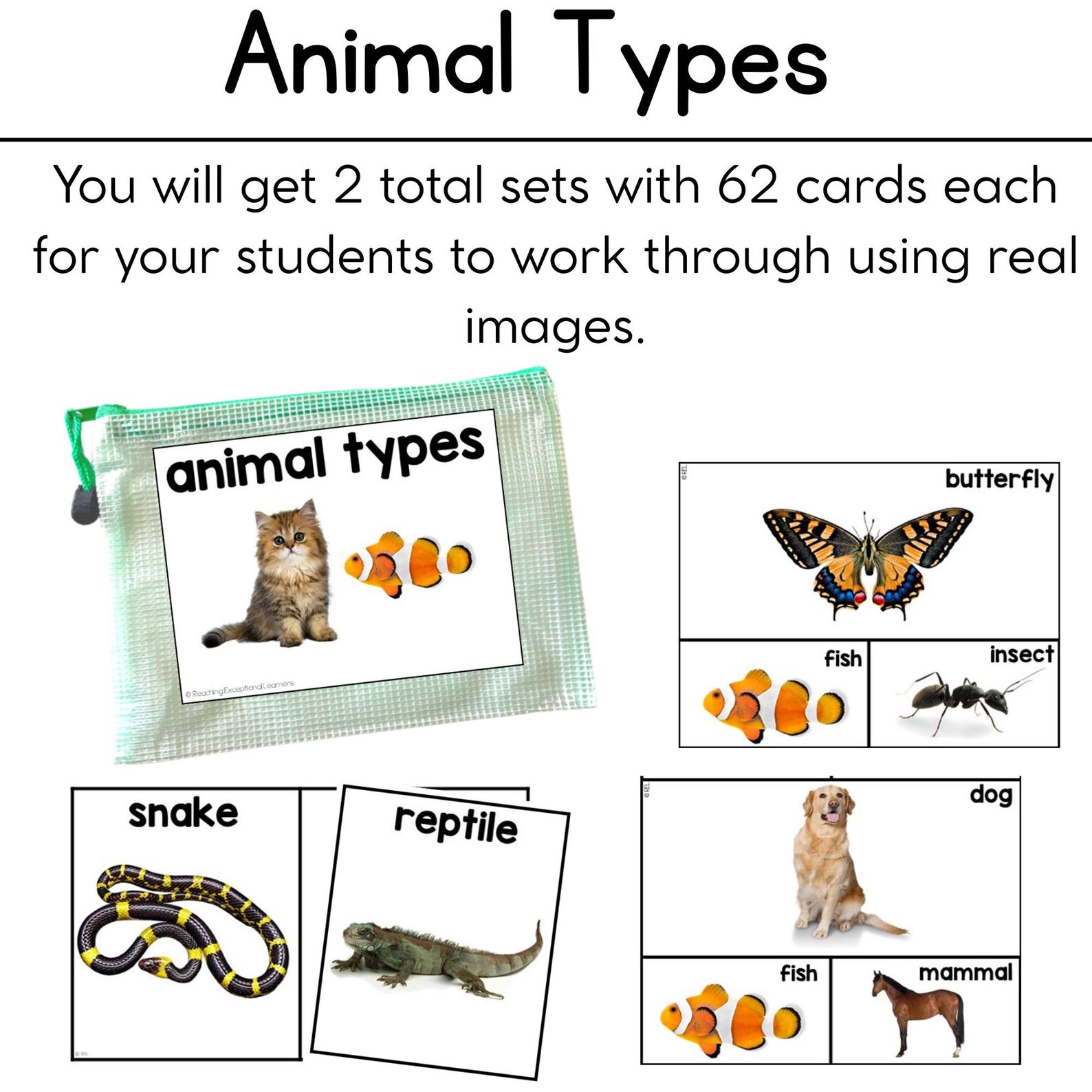 Science Task Boxes Special Education - Etsy