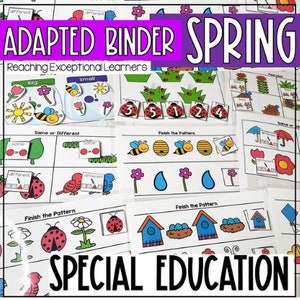 Spring Adapted Binder for Special Education