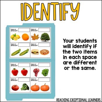 Same or Different File Folder Activity - Etsy