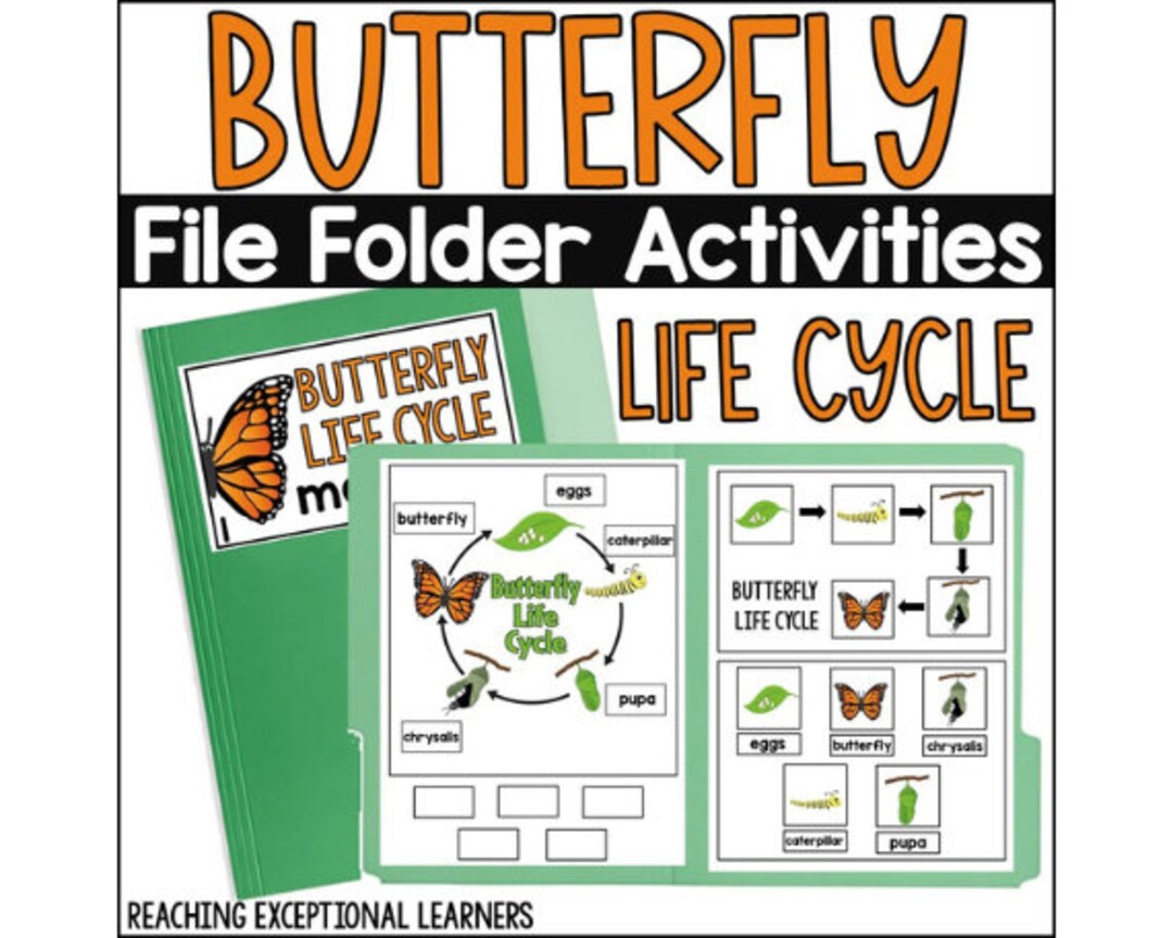 Butterfly Life Cycle File Folder Activity - Etsy