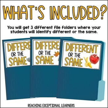 Same or Different File Folder Activity - Etsy