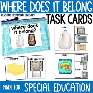 Where Does It Belong Task Cards