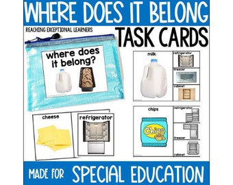 Where Does It Belong Task Cards