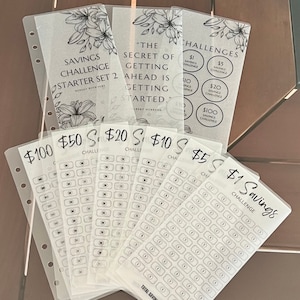 Savings Challenge Starter Set 2 | Vellum Cash Envelopes| Budget Envelopes| Cash Stuffing | Sinking Funds | Minimalist | A6| Binder | MATTE