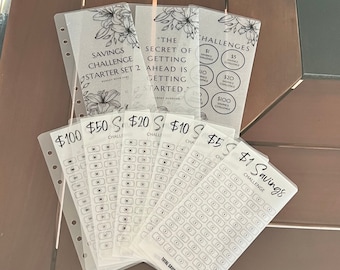 Savings Challenge Starter Set 2 | Vellum Cash Envelopes| Budget Envelopes| Cash Stuffing | Sinking Funds | Minimalist | A6| Binder | MATTE