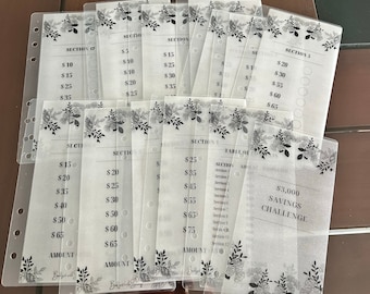 3K Savings Challenge Bundle| Vellum Cash Envelopes | Budget Envelopes | Money Envelope System | A6 | Frosted| Minimalist | Floral | MATTE