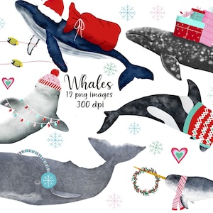 Weihnachten Clip Art, Wal Weihnachten Clip Art, Wal Clip Art, Wal Clipart, Orca, Pottwal, Narwal, Buckelwal, Beluga, Grauwal