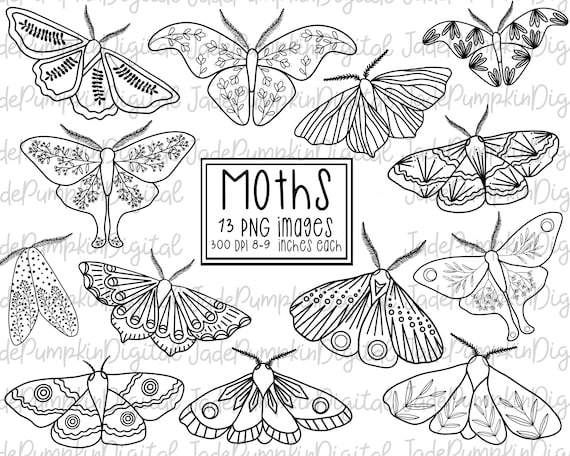 Moth Clipart, moths, moth line art, moth black and white Clipart, minimalist Clipart, modern Clipart, moths and butterflies Clipart