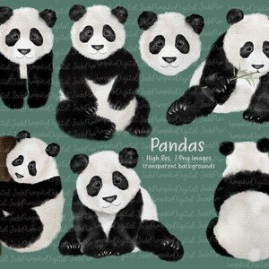 Clipart de panda em aquarela, pandas, presentes de panda, arte em aquarela de panda, presentes de panda, clip art, clipart de sala de aula, arte digital