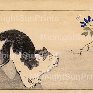 Peut inclure: Un chat noir et blanc aux yeux jaunes regarde une fleur bleue avec des accents blancs. La fleur fait partie d'une vigne avec des feuilles vertes et deux papillons blancs. L'arri&egrave;re-plan est de couleur beige clair.