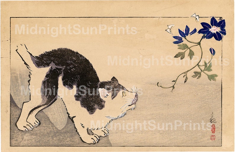 Peut inclure: Un chat noir et blanc aux yeux jaunes regarde une fleur bleue avec des accents blancs. La fleur fait partie d'une vigne avec des feuilles vertes et deux papillons blancs. L'arri&egrave;re-plan est de couleur beige clair.