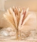 MagicDecor 85Pcs Boho Home Decor Dried Flowers Arrangements White & Natural Pampas Grass, Reed, Bunny Tails 