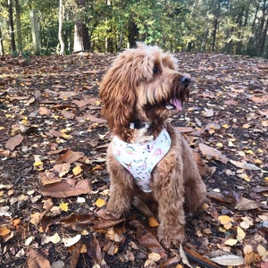 K&ouml;nnte beinhalten: Ein brauner und wei&szlig;er Hund mit einem wei&szlig;en Bandana mit einem bunten Aufdruck von Dinosauriern und anderen Tieren. Der Hund sitzt auf einem Bett aus heruntergefallenen Herbstbl&auml;ttern.