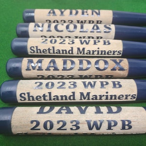 Personalized Baseball or Mini Bat Gift Little League Boys Gift Custom Engraved Gift for Him Team Trophies Baseball Fan Bats