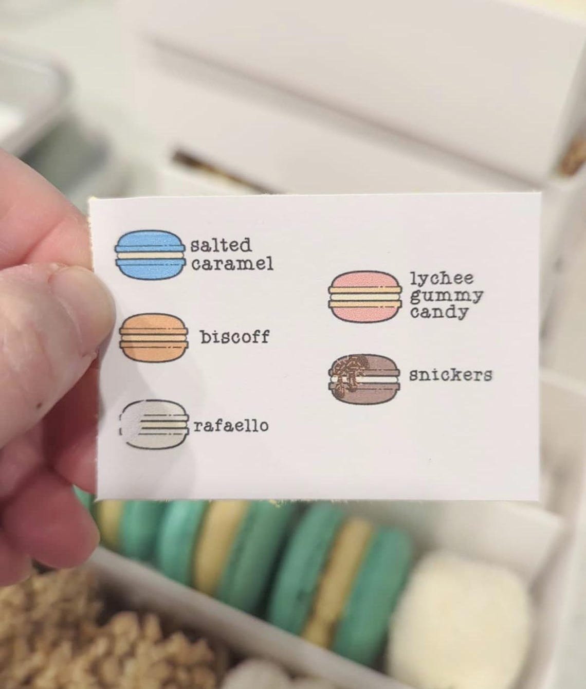 Canva PRO | Customizable Macaron Template for Canva PRO | Printable ...