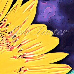 Colorful Sunflower Photograph