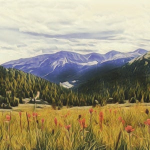 Colorado mountain-Flower Photograph