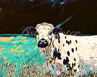 Cow Photograph