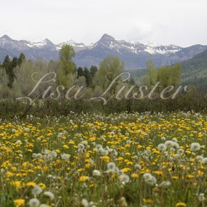 Colorado Mountain Landscape - Digital Download