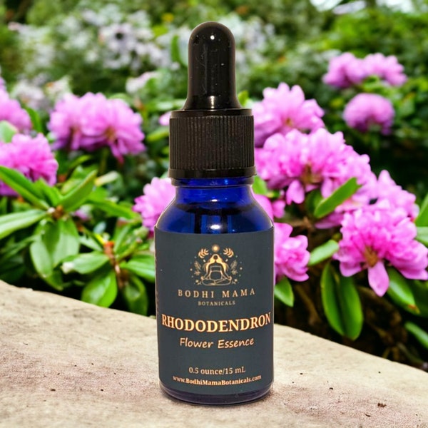 Rhododendron Flower Essence || Inner Nourishment