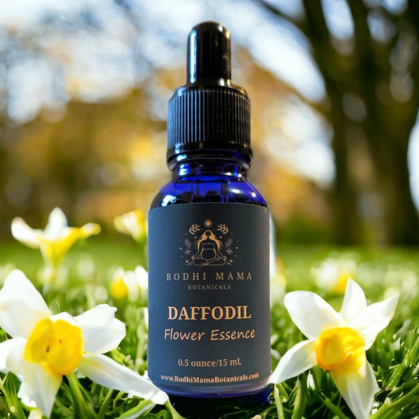 Daffodil Flower Essence || Sharing Authentic Light