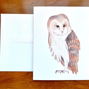 Cartes de voeux|Lot de 6|Blanc|Cartes de correspondance|Cadeau pour les amoureux des animaux|Aquarelle d'effraie des cloches|Peinture|Art d'effraie des cloches|Cartes d'art nature|Aquarelle nature