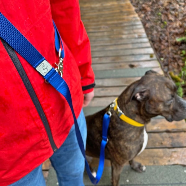 Hands Free Leash Etsy