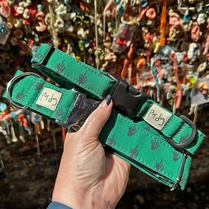 FU Middle Finger Skeleton Hand Dog Collar