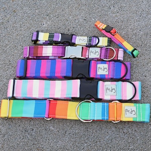 Non-binary/Bisexual/Trans/Lesbian Pride Flag Pet Collar