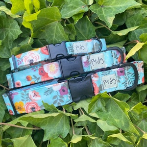 May include: Three dog collars with a floral pattern on a blue background. The collars are black with a silver buckle and have the text "Pipdog" on them.