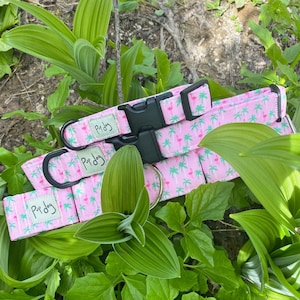 Pink Flamingos Pet Collar