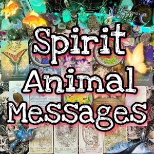 Spirit Animal Messages, Tarot & Oracle Reading