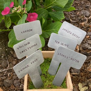 Custom Stamped Metal Flower/Herb/Vegetable Garden Plant Markers