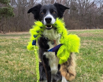 May include: A black and white border collie dog sitting in a grassy field, holding a bright green and yellow plush toy in its mouth. The toy is attached to a long, green rope.