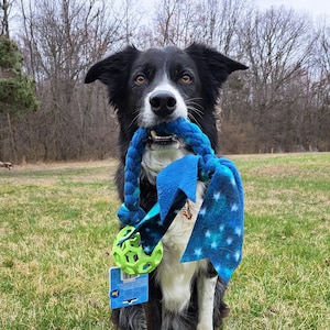 Holee Tug Stuffed/Unstuffed