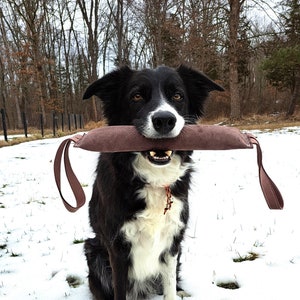 May include: A black and white border collie dog sitting in the snow with a brown chew toy in its mouth.