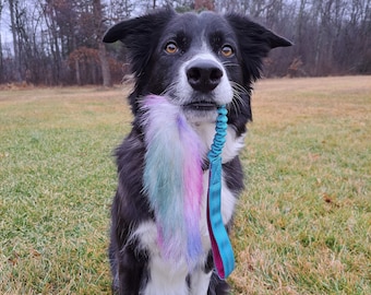 May include: A black and white border collie dog sitting in a grassy field, holding a blue and pink fluffy toy in its mouth.