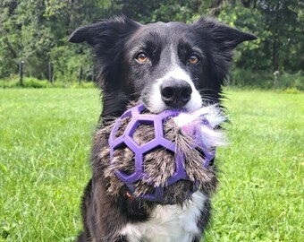May include: A black and white Border Collie dog holding a purple and gray dog toy in its mouth. The toy is a ball-shaped design with a geometric pattern and a fluffy center. The dog is sitting in a grassy area.