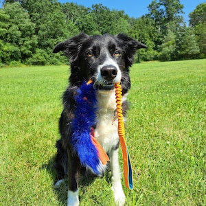 Puppy Faux Bungee Tug