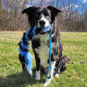 Fuzzy Bungee Tug