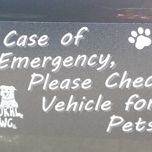 In Case of Emergency Car Magnet