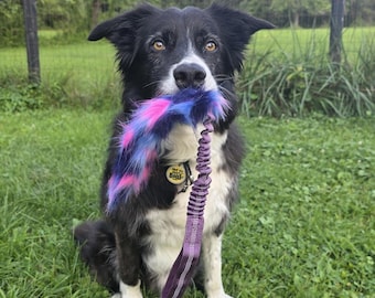 Peut inclure: Un chien noir et blanc tenant dans sa gueule un jouet de traction en fausse fourrure multicolore. Le jouet présente des poils synthétiques aux tons vifs rose, bleu et violet, fixés à une poignée élastique violette avec une bande blanche cousue.
